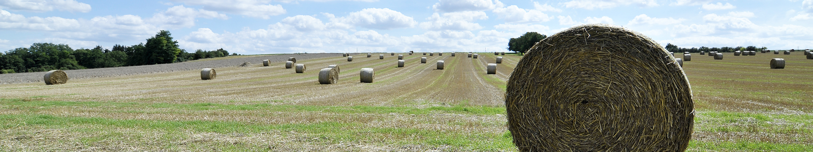 Strohballen auf abgeerntetem Acker ©DLR